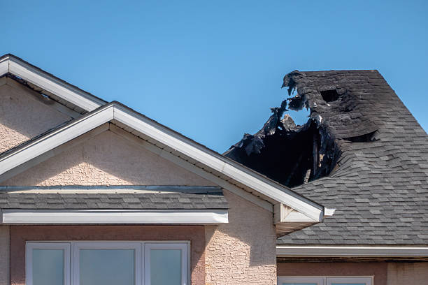 Licensed Fire Damage Removal service in Lutz, FL - Fire Damage Laser Cleaning